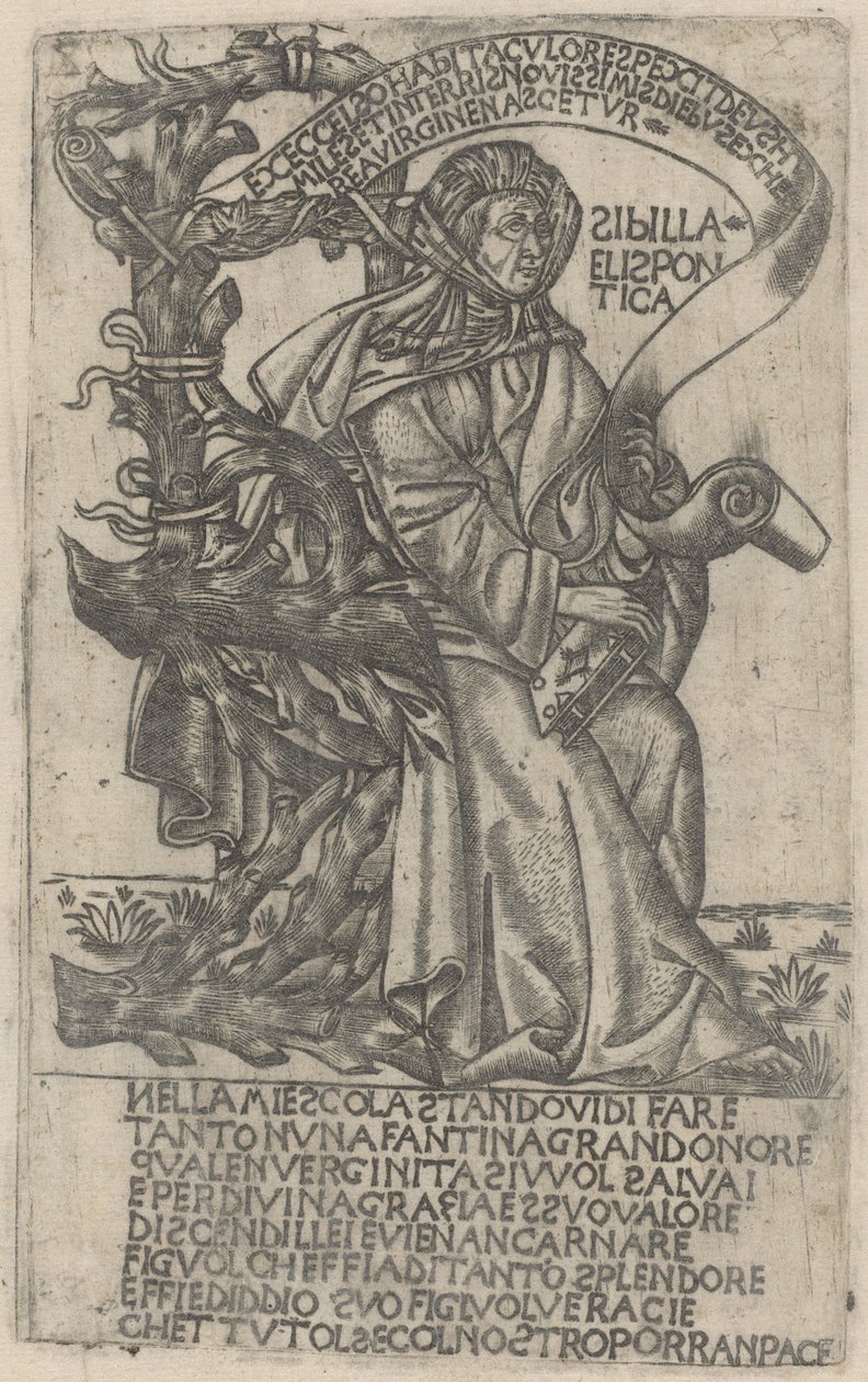 Hellespontische Sibylle von after Baccio Baldini