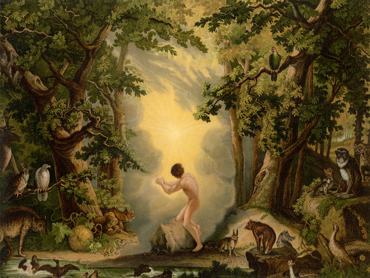 Die Erschaffung Adams von Johann Elias Ridinger or Riedinger