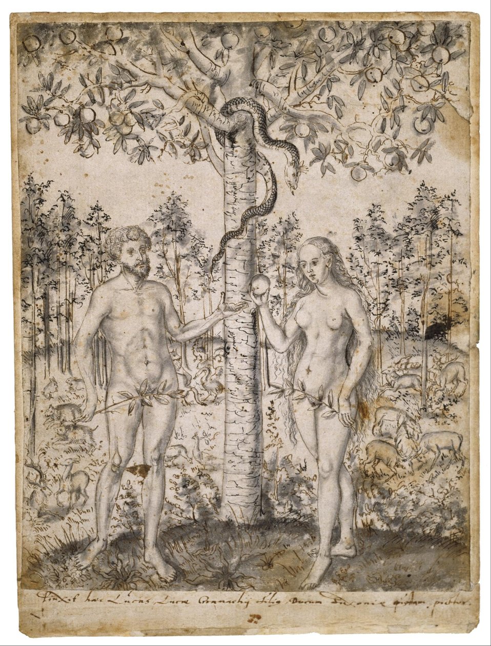 Der Sündenfall von after Lucas Cranach the Younger