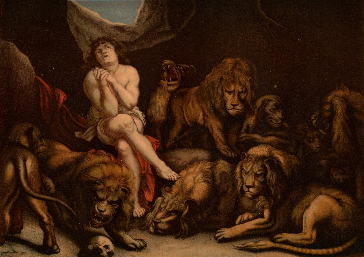 Daniel in der Löwengrube von after Peter Paul Rubens