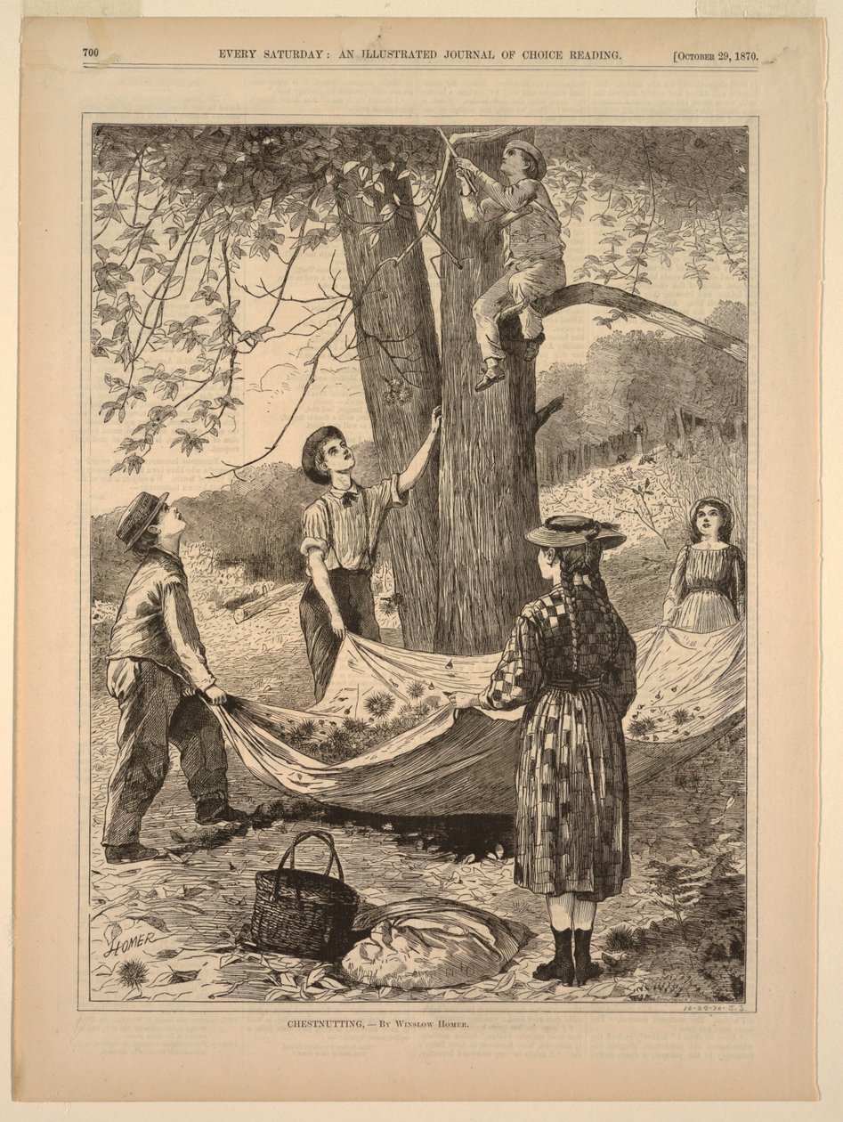 Kastaniensammeln von after Winslow Homer