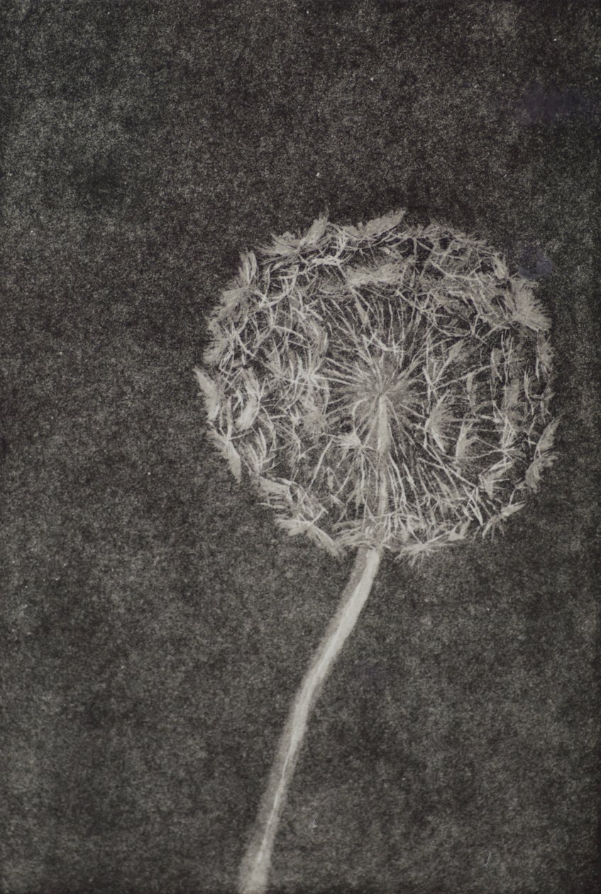 Uhrmacher von angus hampel
