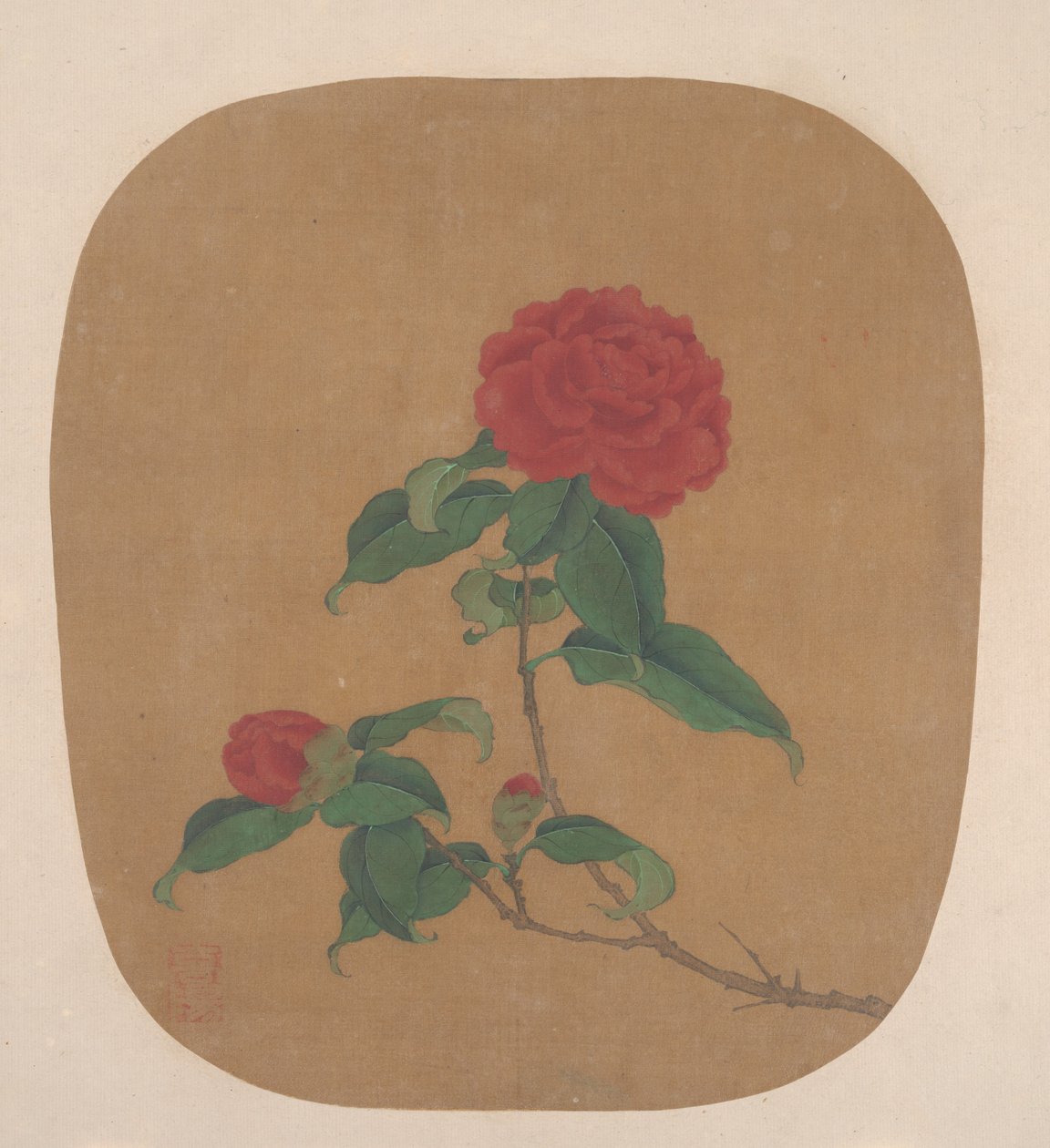 Kamelienblüten von anonymous 