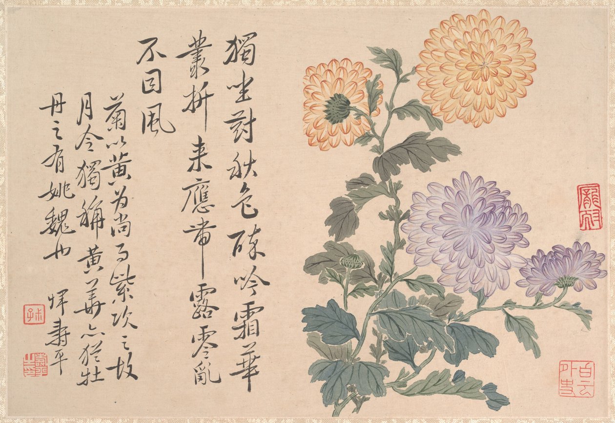 Chrysanthemen von anonymous 