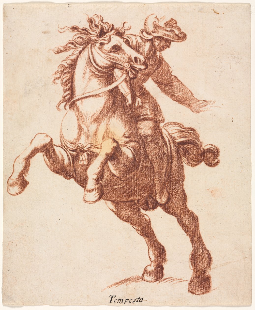Steigendes Pferd und Reiter von attributed to Antonio Tempesta
