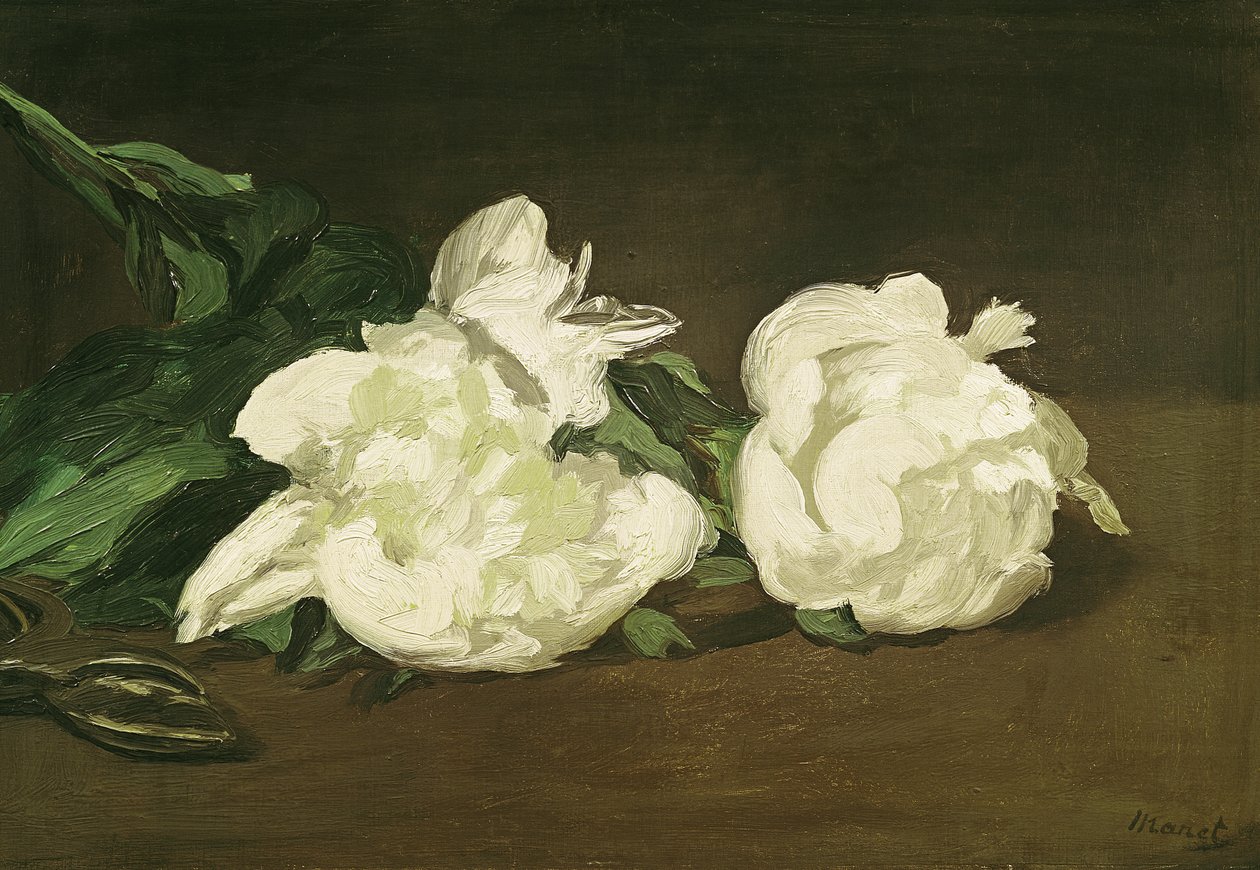 Zweig mit weißen Pfingstrosen und Gartenschere, 1864 von Édouard Manet