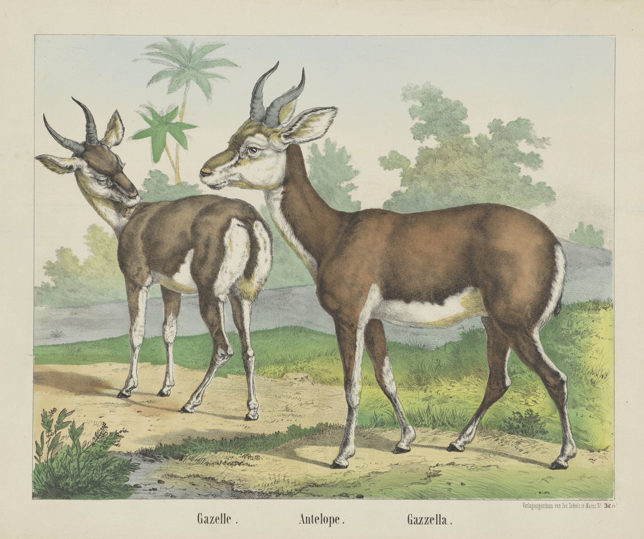 Gazelle von firma Joseph Scholz