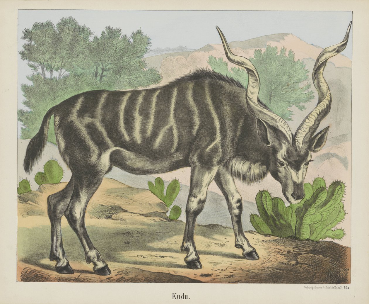 Kudu von firma Joseph Scholz