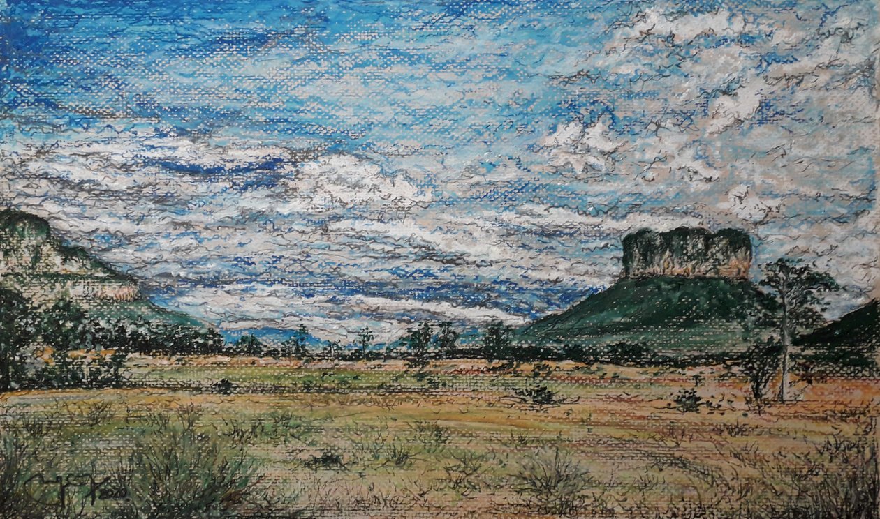 Die Große Savanne Venezuela von miguelmendez_art.ve
