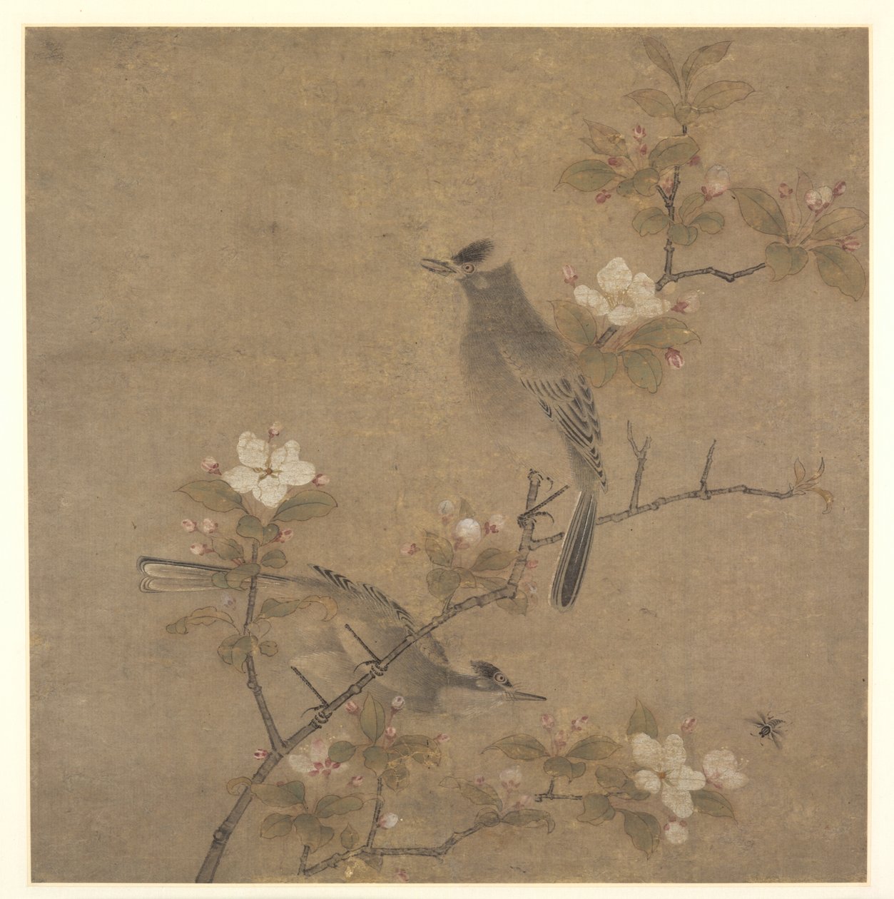 Blumen und Vögel von style of Qian Xuan