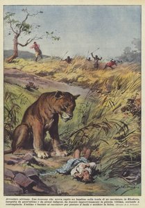 Afrikanische Abenteuer