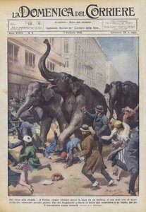 Vom Zirkus auf die Straße