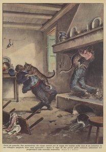 Wachkatzen