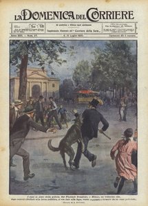 Hunde zur Unterstützung der Polizei