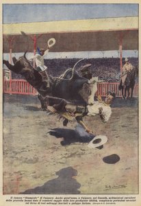 Das berühmte Stampede von Calgary