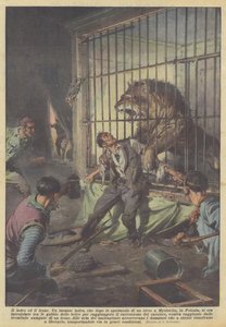 Der Dieb und der Löwe