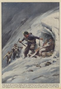 Von einem Hund gerettet