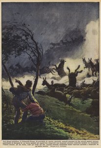 Ein ungewöhnliches Massaker