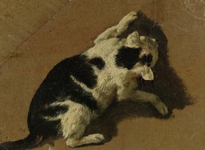 Katze beim Spielen