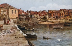 Möwen im Hafen, St. Ives