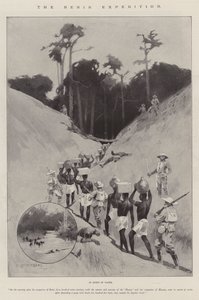 Die Benin-Expedition