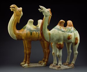Zwei Kamele, Tang-Dynastie (618-907)