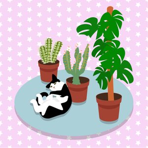 Die Katze und die Kakteen