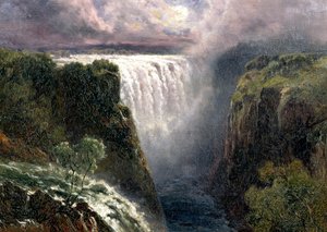 Ein Blick auf die Victoriafälle