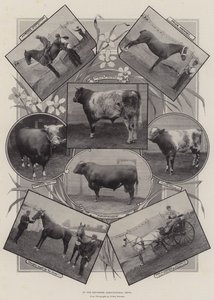Auf der Landwirtschaftsausstellung in Leicester