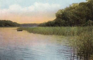 Fritton See