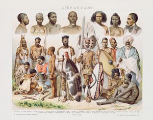 Afrikanische Rassen