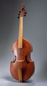 Bassgambe