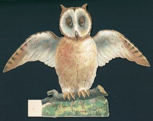 Braune Eule mit offenen Flügeln, Weihnachtskarte