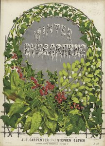Cover von Wintergrün