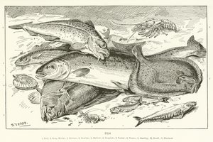 Fisch
