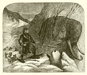 Mammut im Eis