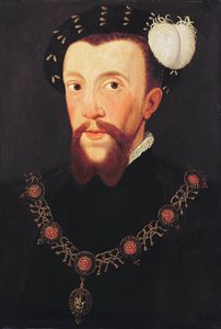 Porträt von Henry Howard, 1546