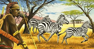 Stammesangehöriger und Zebras