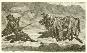 Der Esel im Löwenfell