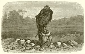 Die Krähe und der Krug
