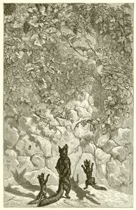 Der Fuchs und die Trauben