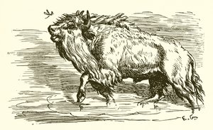 Die Mücke und der Stier