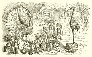Der Pfau und der Kranich