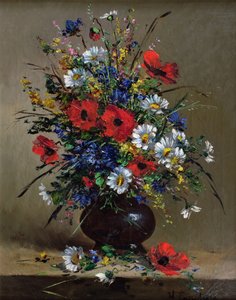 Mohnblumen und Gänseblümchen