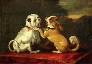 Spielende Hunde