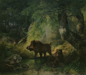 Wildschwein und Wolf