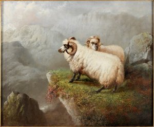 Schafe an einer Klippe, um 1865-68