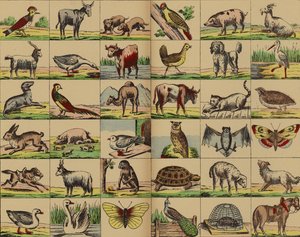 Tier- und Vogelbilder