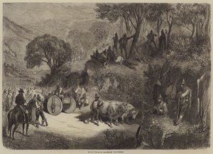 Mittagspause der kalabrischen Freiwilligen