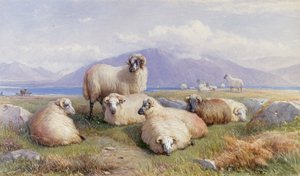 Im Herzen der Highlands